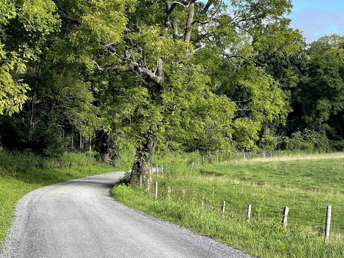 Zion Hill photo 3