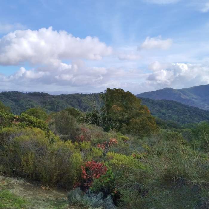 Near Tie Camp Trail