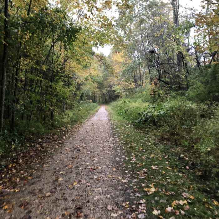 Rockingham Recreational Trail; Newfields section Near Rockingham Recreational Rail Trail