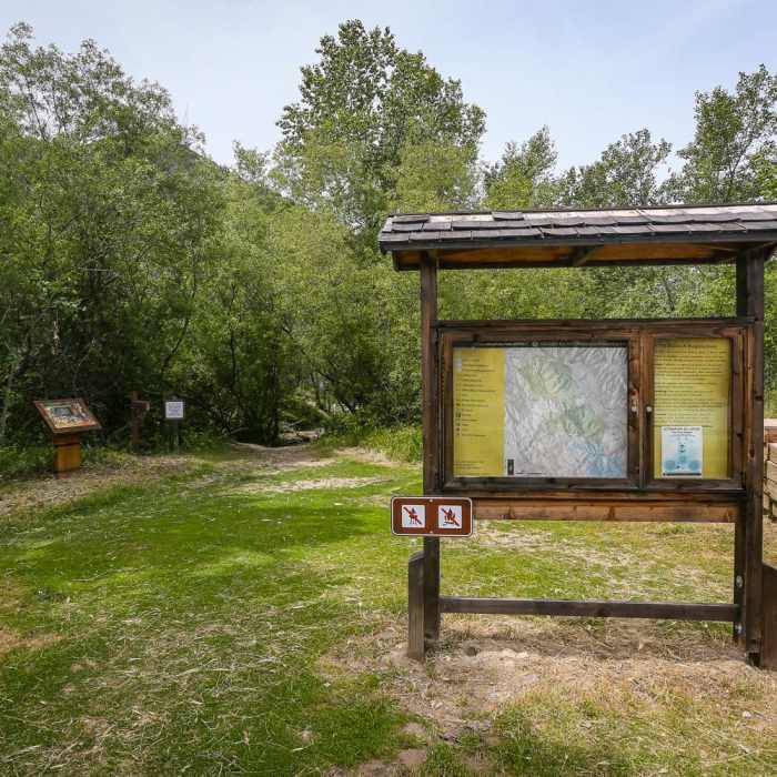 Near Fern Falls Hike