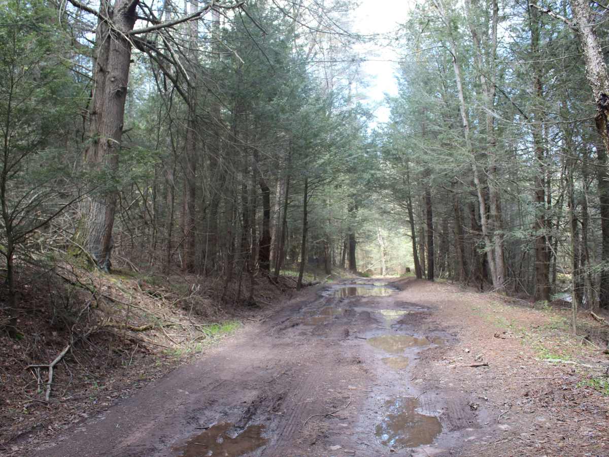 Stillhouse Hollow Trail photo 6