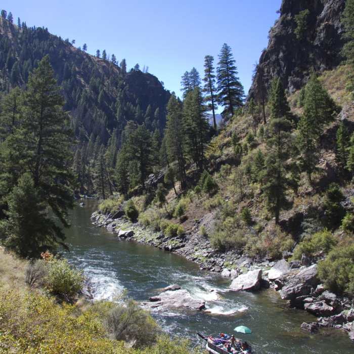 Near Middle Fork of the Salmon River Trail a Day 3