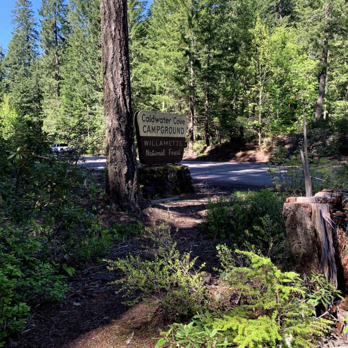 Near The McKenzie River National Recreation Trail (No. 3507)