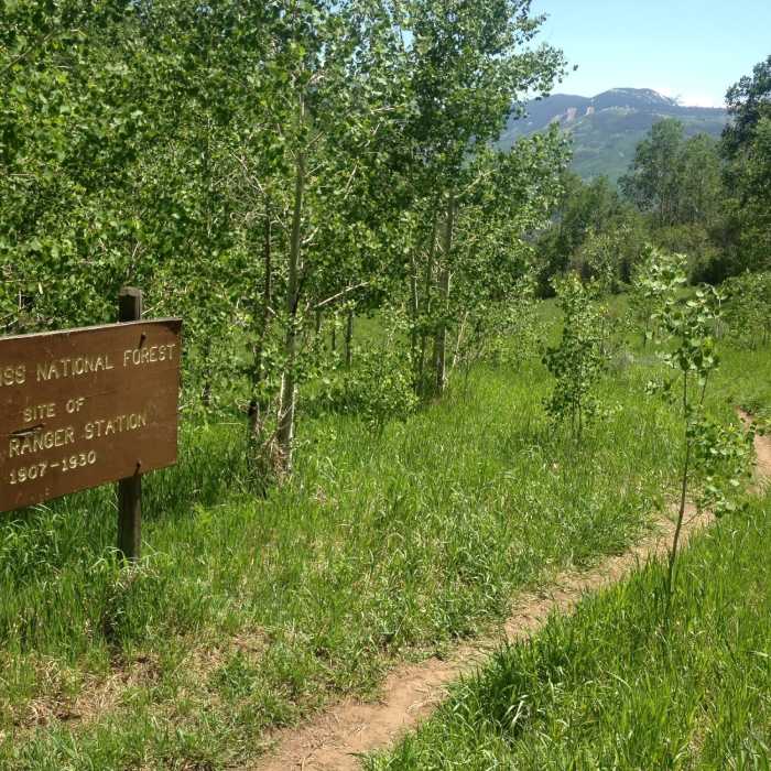 Near Buck Creek