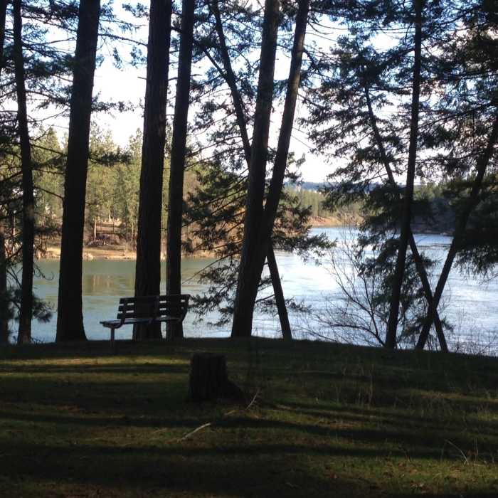 Near Carlson Road Loop