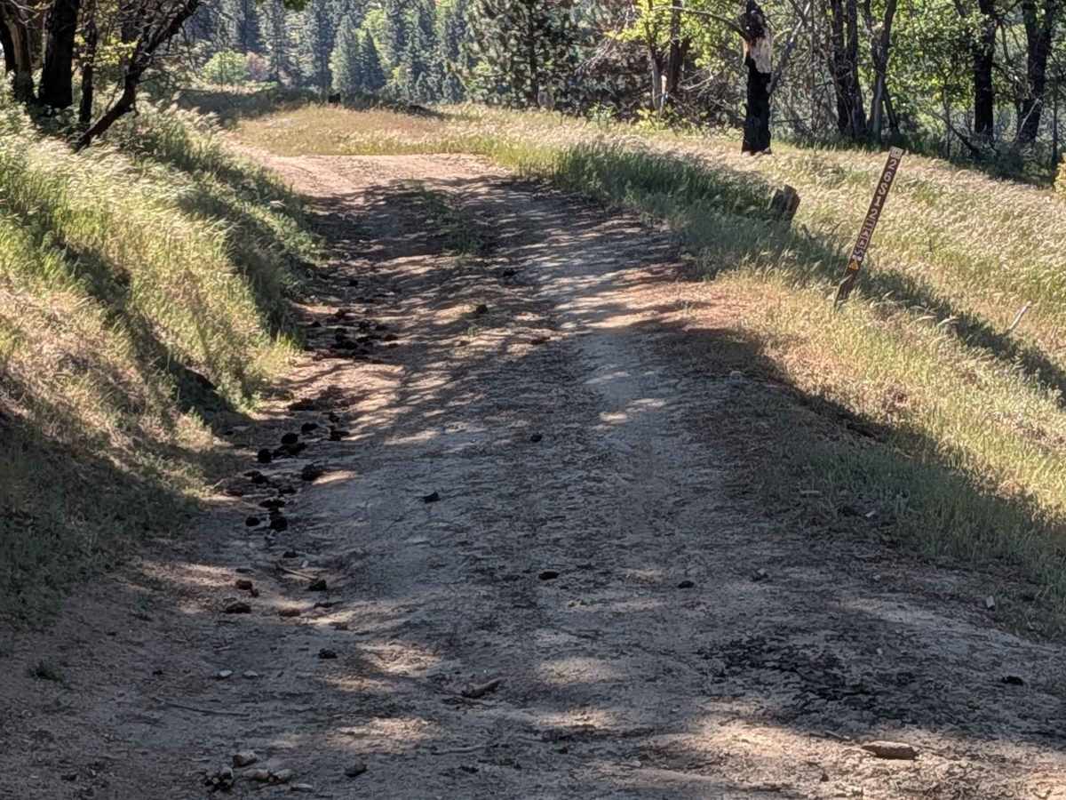 Little Poso Creek - FS 26S12 trail photo