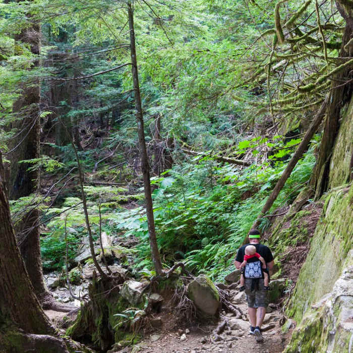 Near Bridal Veil Falls, Washington
