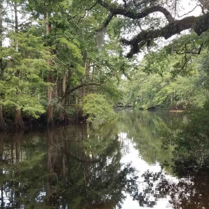 Near Camp Salmen Nature Park Loop