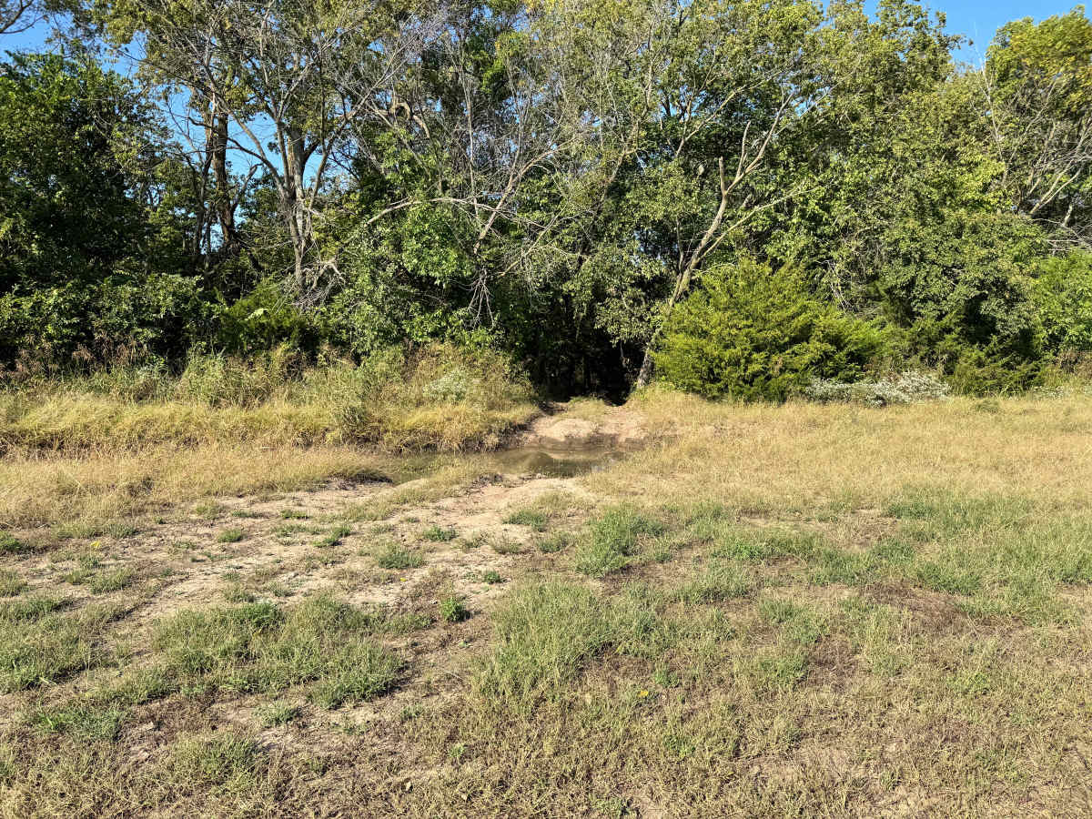 Burnout Boulevard trail photo