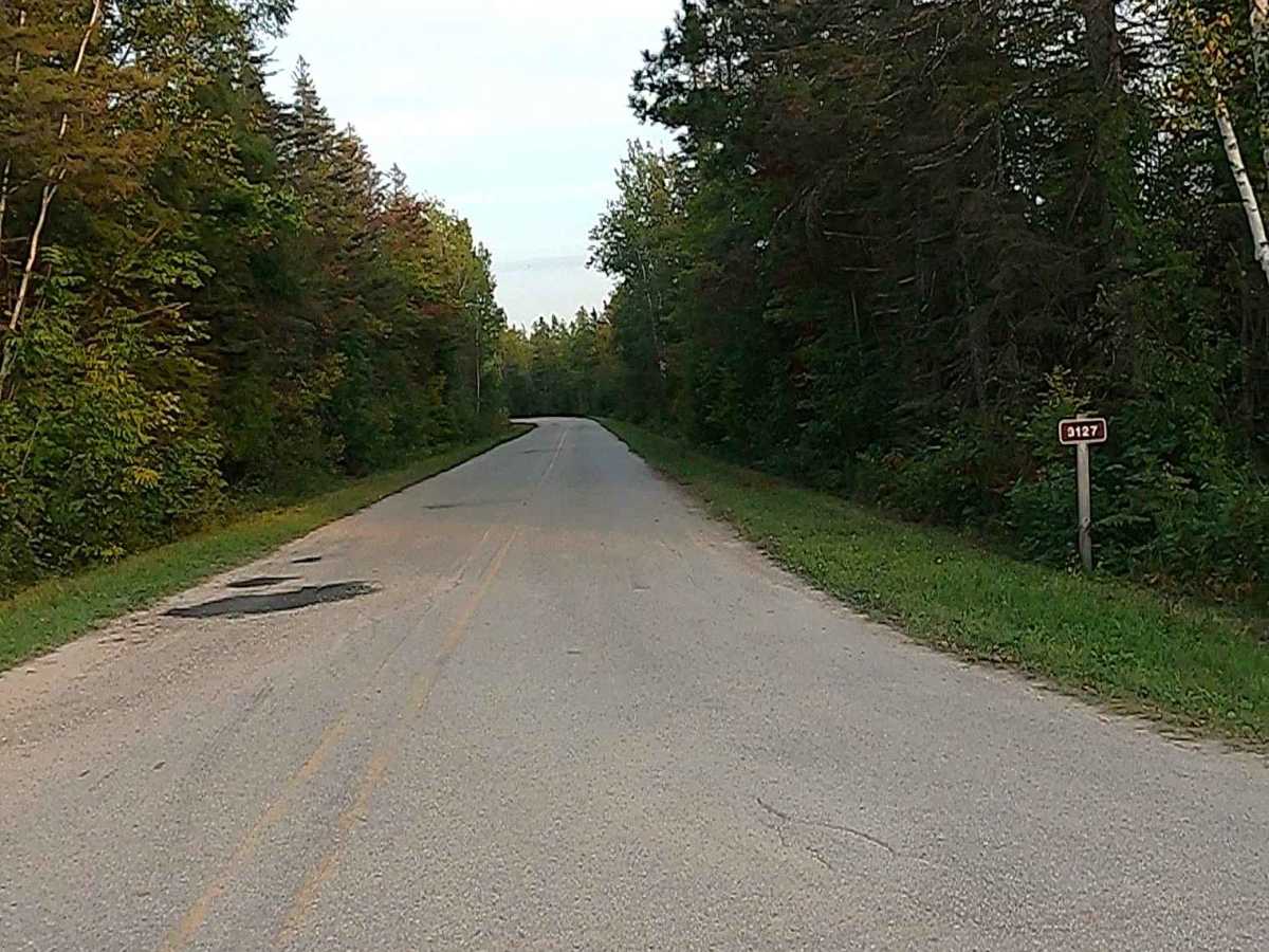 Carp River Boat Landing Road - FS 3127  photo 2