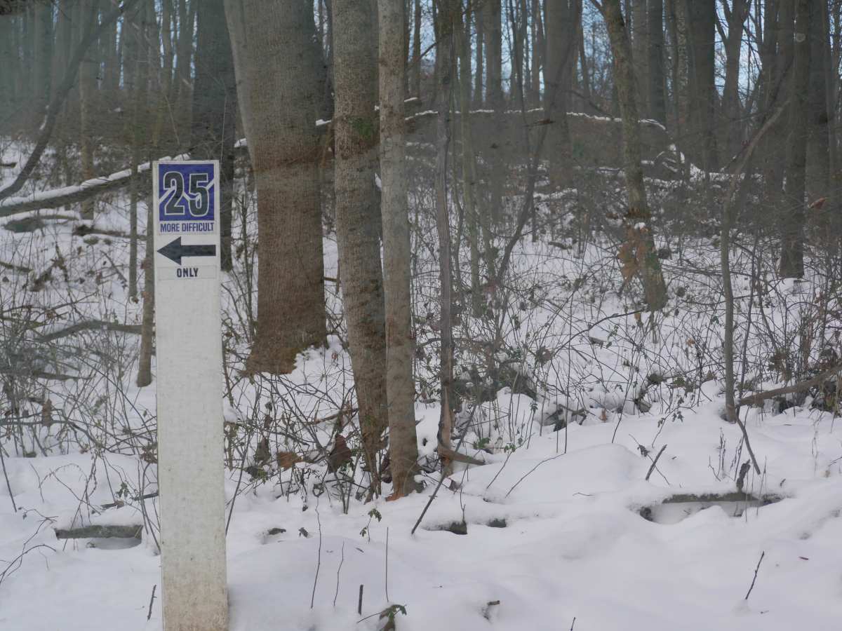 Trail 42 photo 5