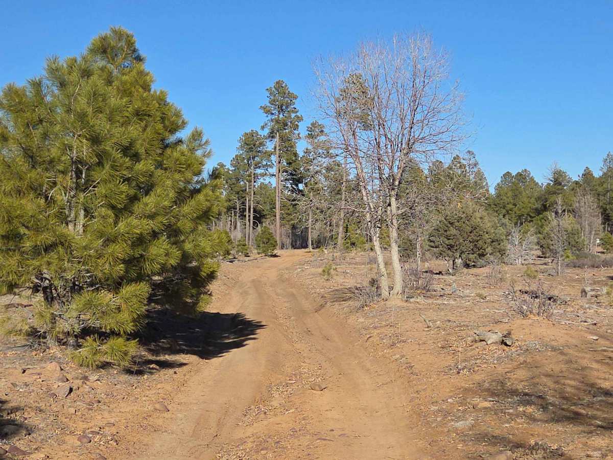 Old Verde Road photo 3
