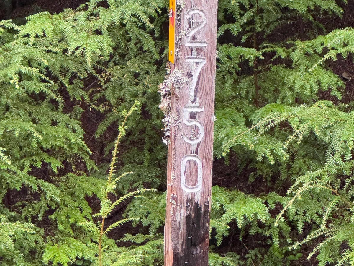 FS 2750 photo 6