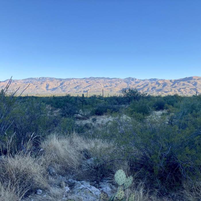 Near Loma Verde and Squeeze Pen Loop