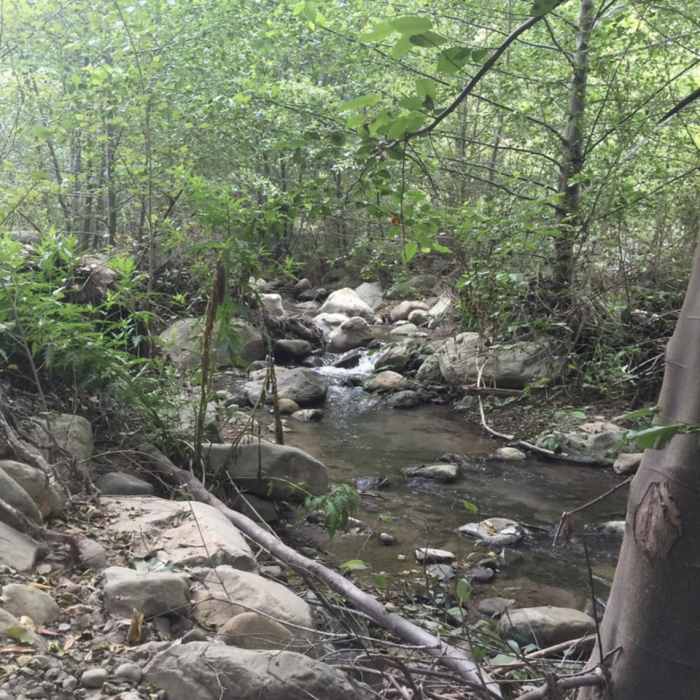 Near Santa Paula Canyon Trail