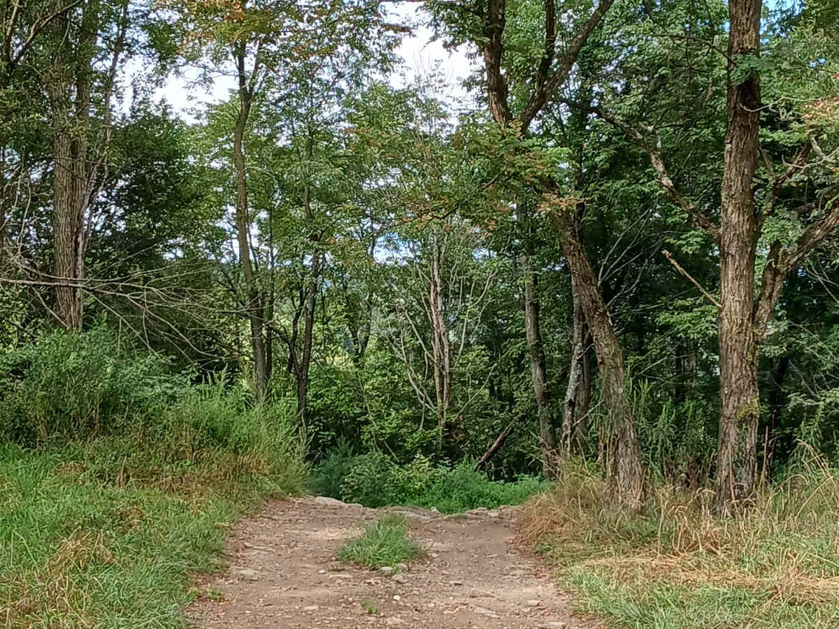 Black Diamond - Rock Run Recreation Area photo 3