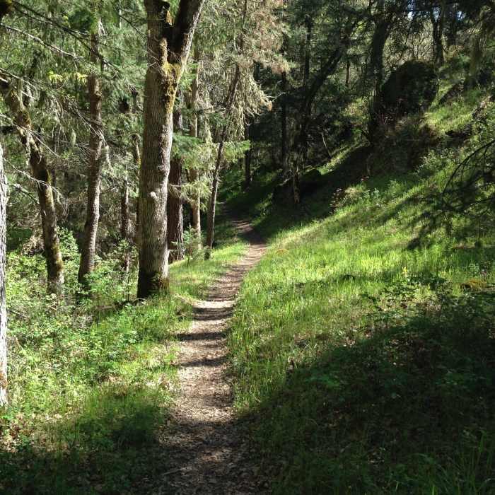 Near Bear Gulch Trail