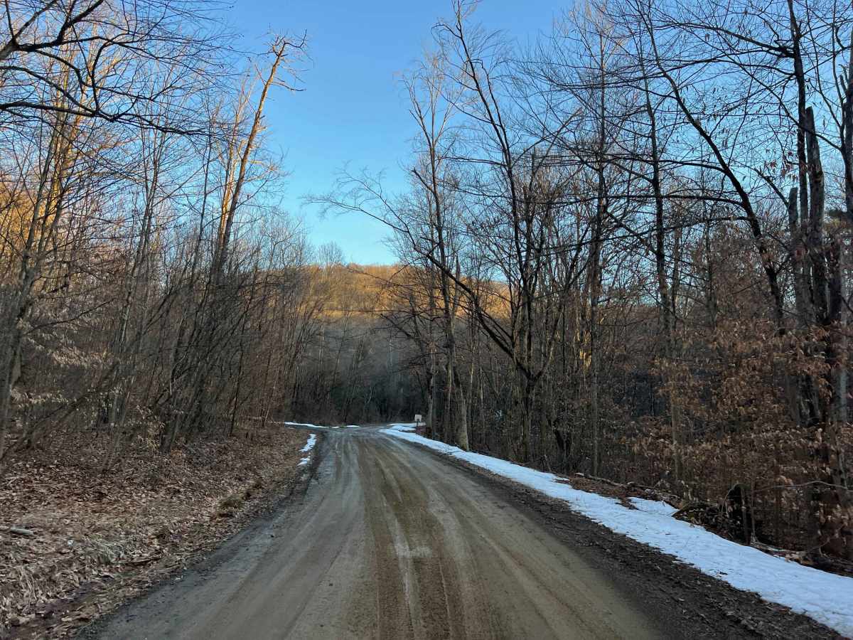 Tyler Road photo 3