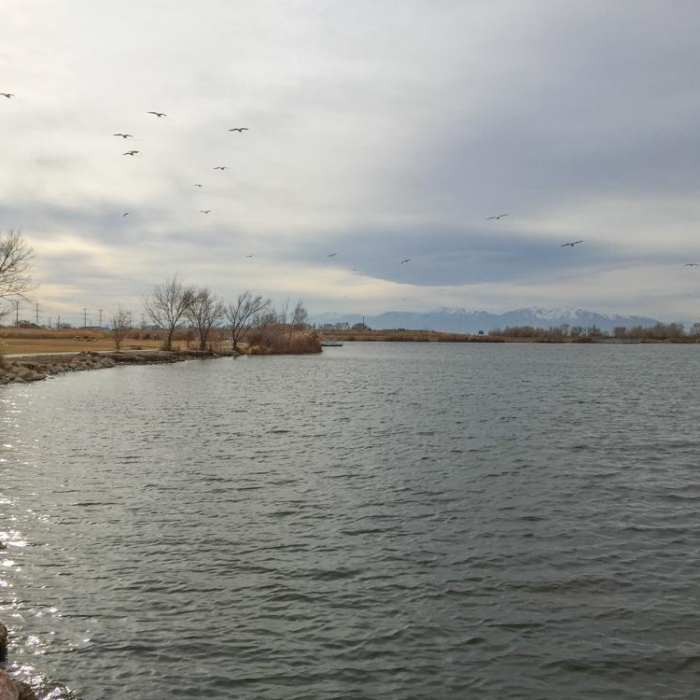 Near Bountiful Lake Trail