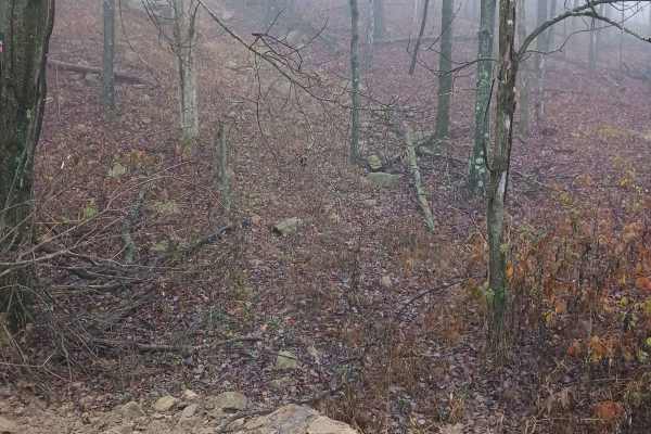 OHV 21 - Rock Run Recreation Area