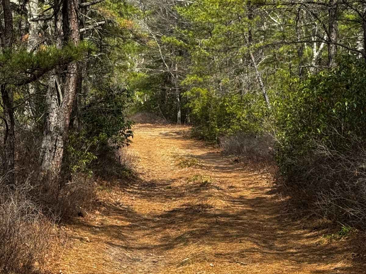 Tuckers Trail photo 5