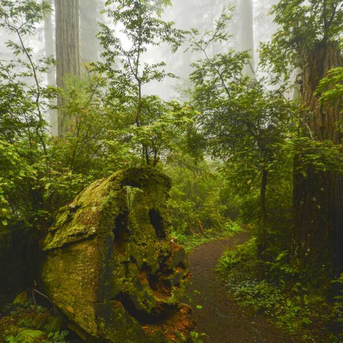 Near Coastal Trail: Last Chance