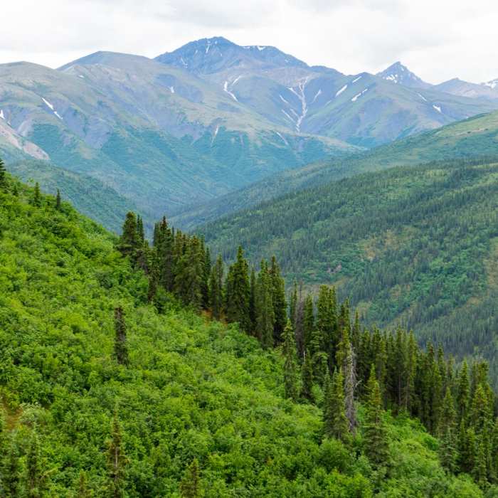 Near Triple Lakes Out and Back Near Triple Lakes Out and Back