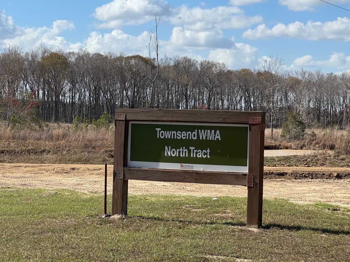 Middleton Lake Road trail photo