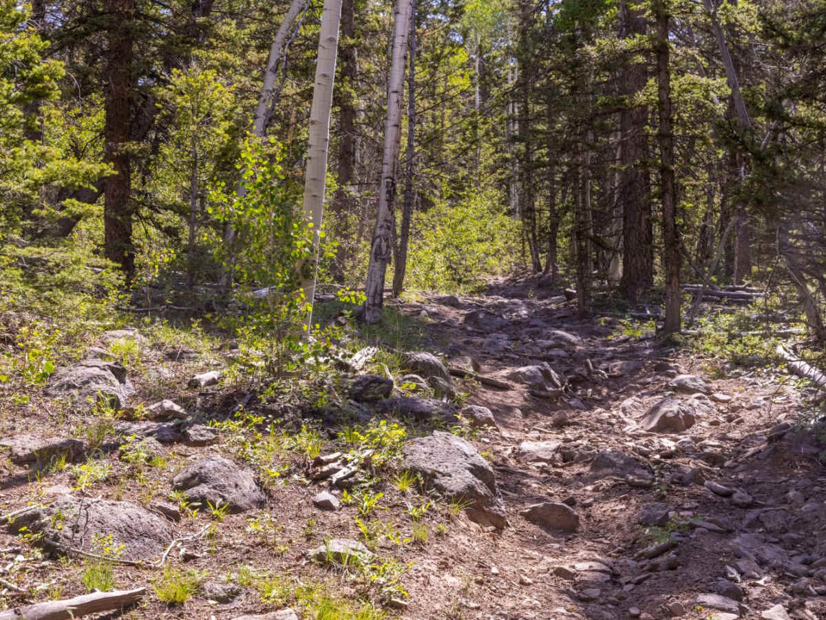 Blind Lake Trail photo 6