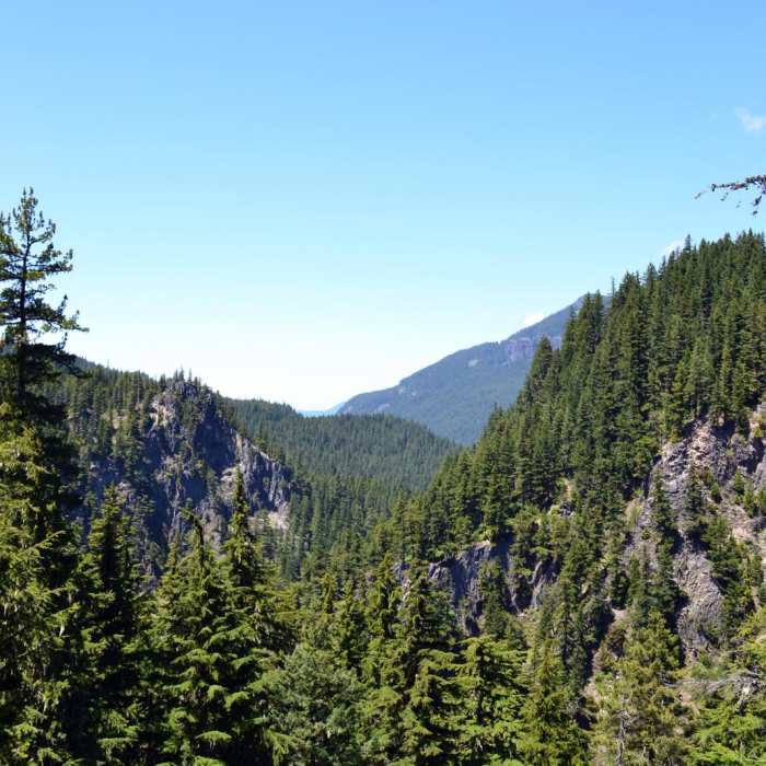 Near Diamond Creek Falls