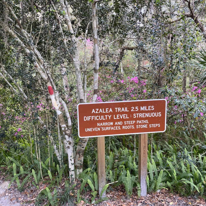 Near Ravine Gardens State Park