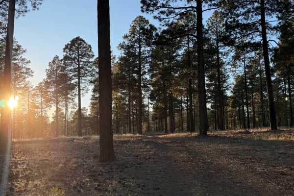 Lost Logger Trail