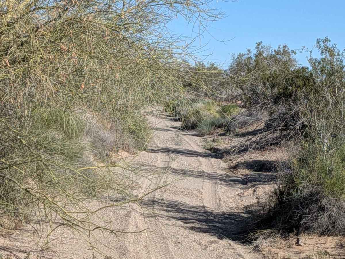 BLM 619 photo 6
