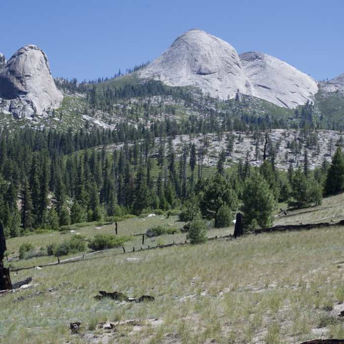 Near Mono Meadow to Panorama Trail