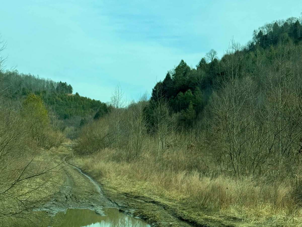 Caney Creek photo 6