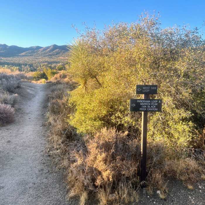 Near Warren Peak (Warren Point) via Black Rock Canyon