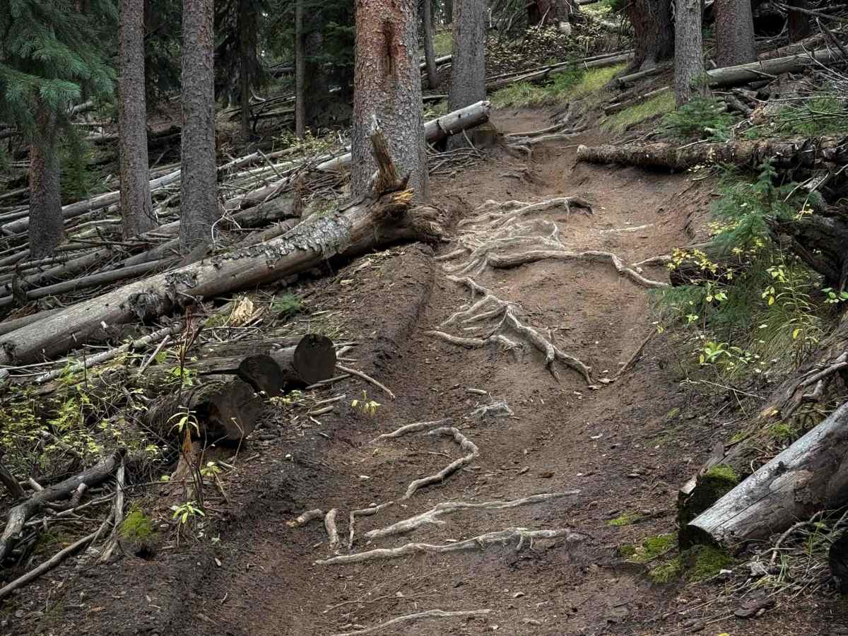 Doubletop Walrod Spur Trail 405.2A photo 2