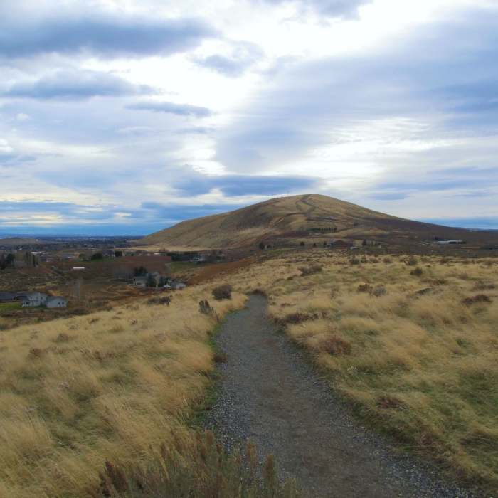Near Candy Mountain Trail