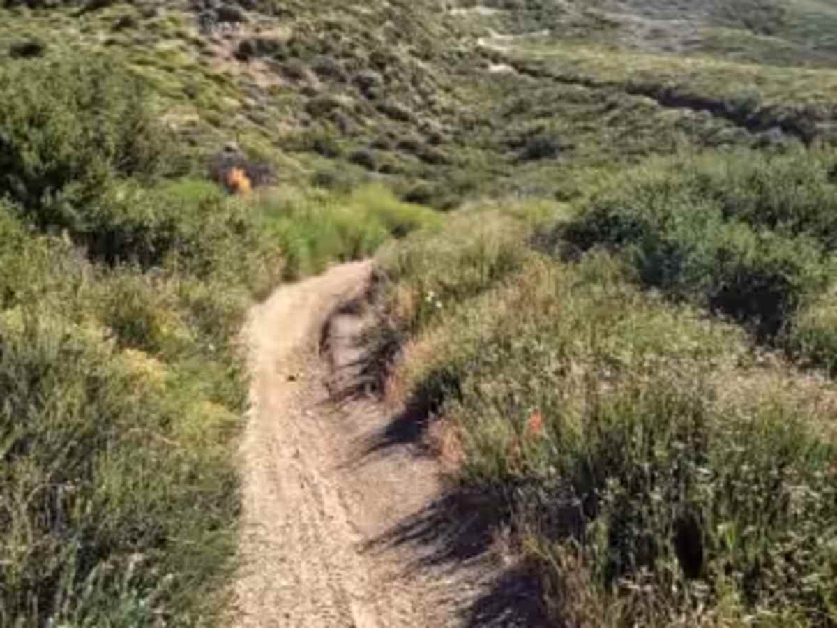 Sierra OHV Trail photo 6