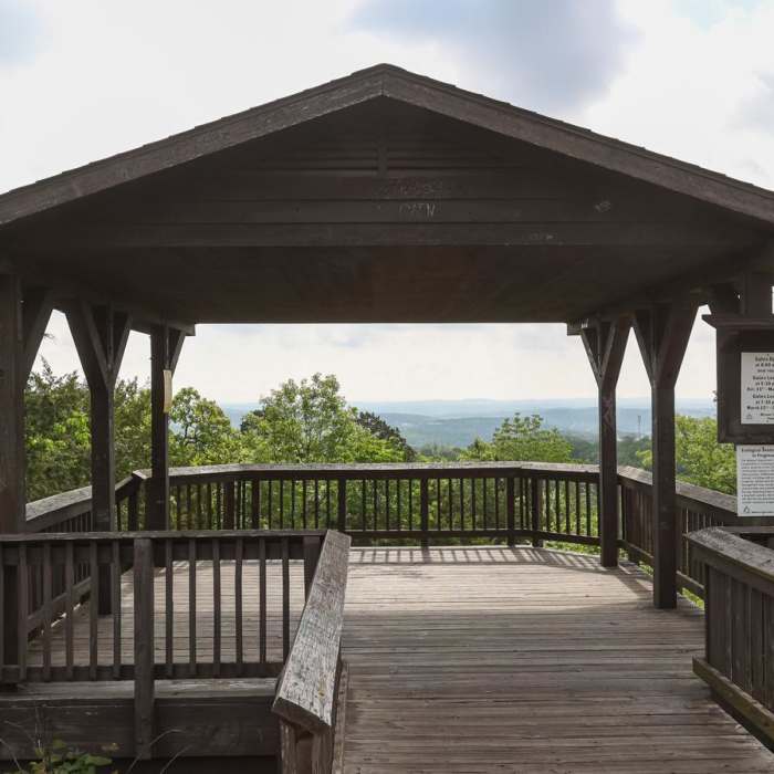 Near Streamside Trail