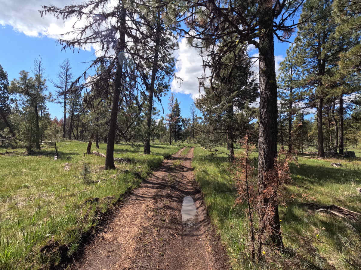 Trail 78 photo 4