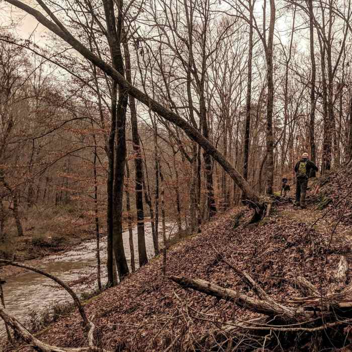 Shoal Creek Trail Near Turkey Ridge - Shoal Creek Loop