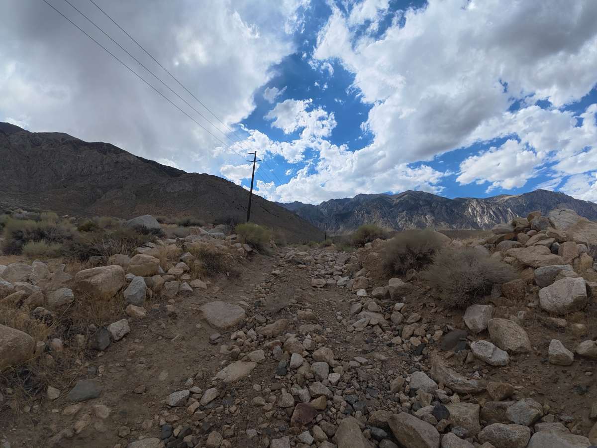 Elderberry Road trail photo