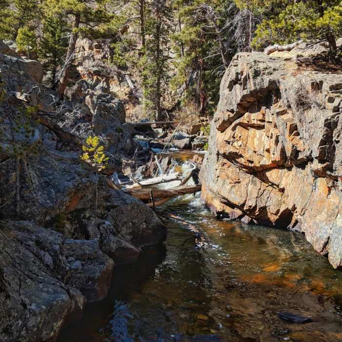 Near Fern Lake Trail