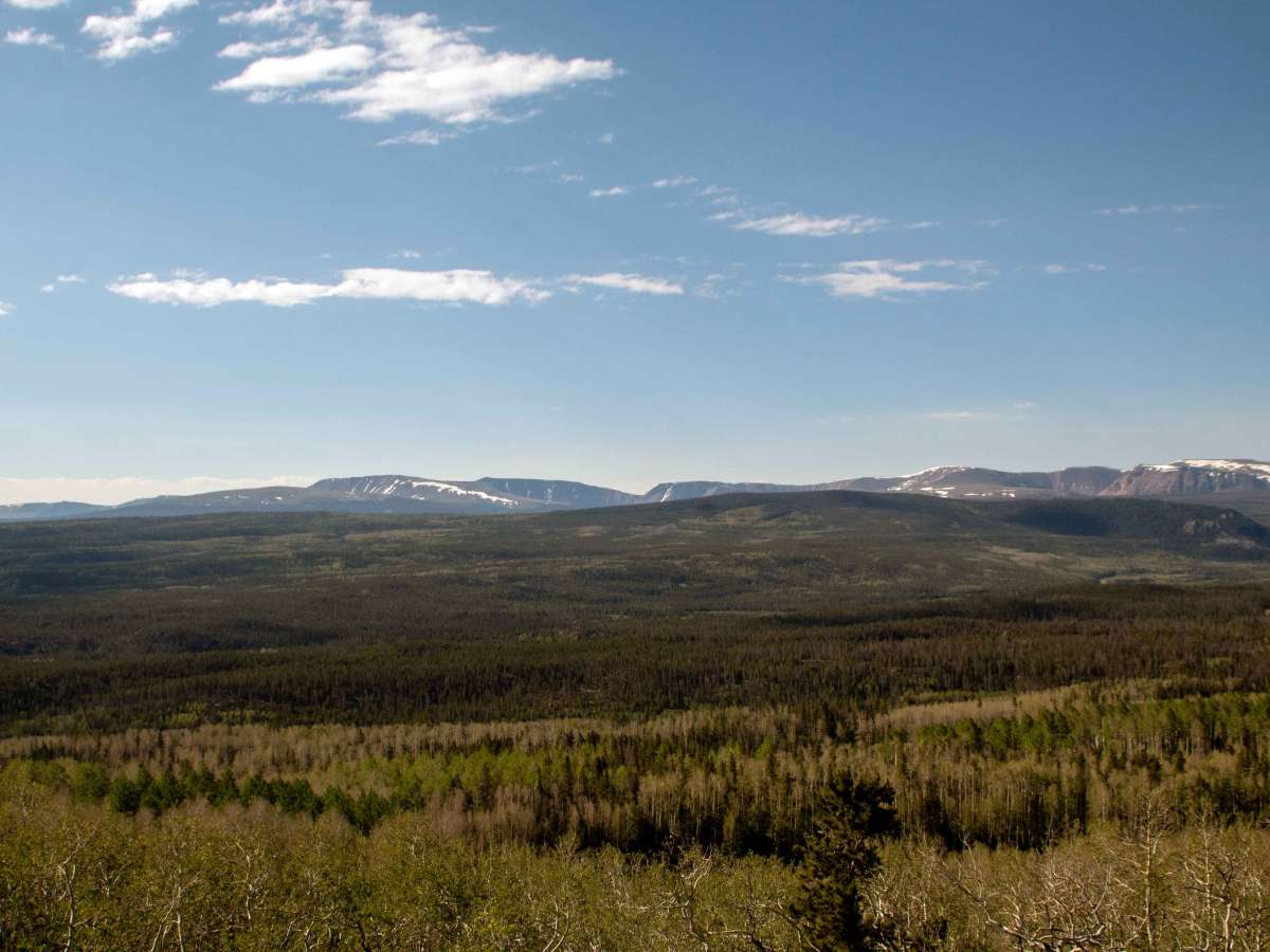 Oil & Gas View Area photo 4