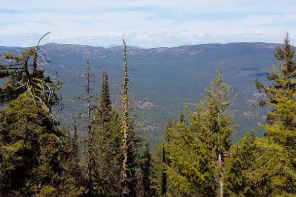South Huckleberry2 Trail