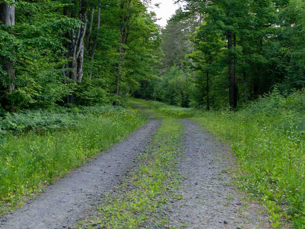 Truck Trail 2 photo 4