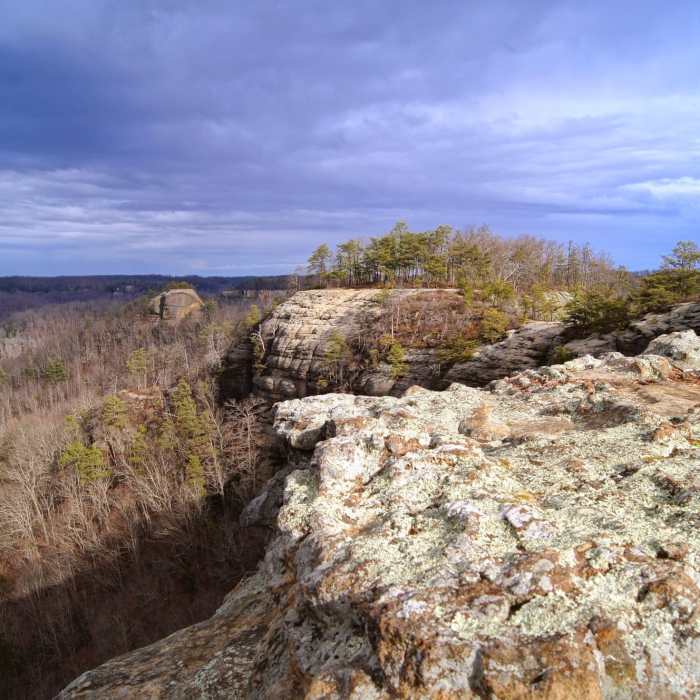 Near Auxier - Courthouse Loop