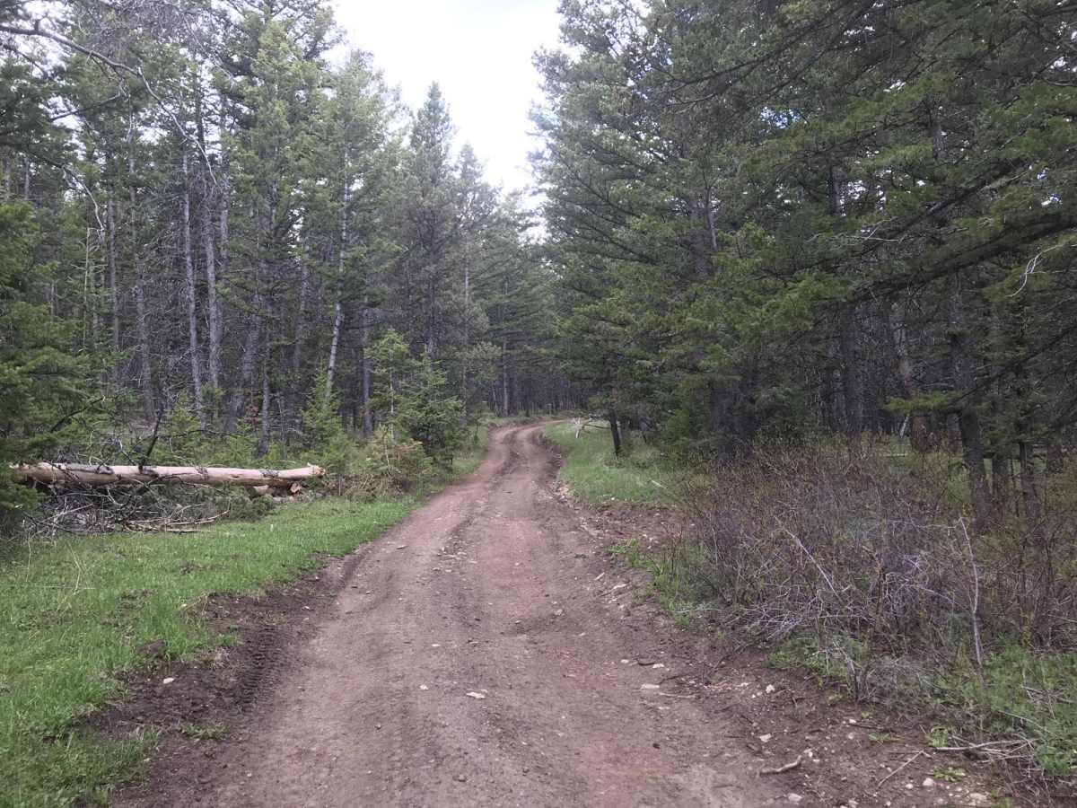 554 Wildcat and 528 Geyser Creek photo 3