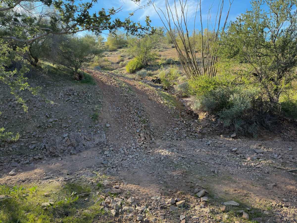 Paloverde Ridge  trail photo